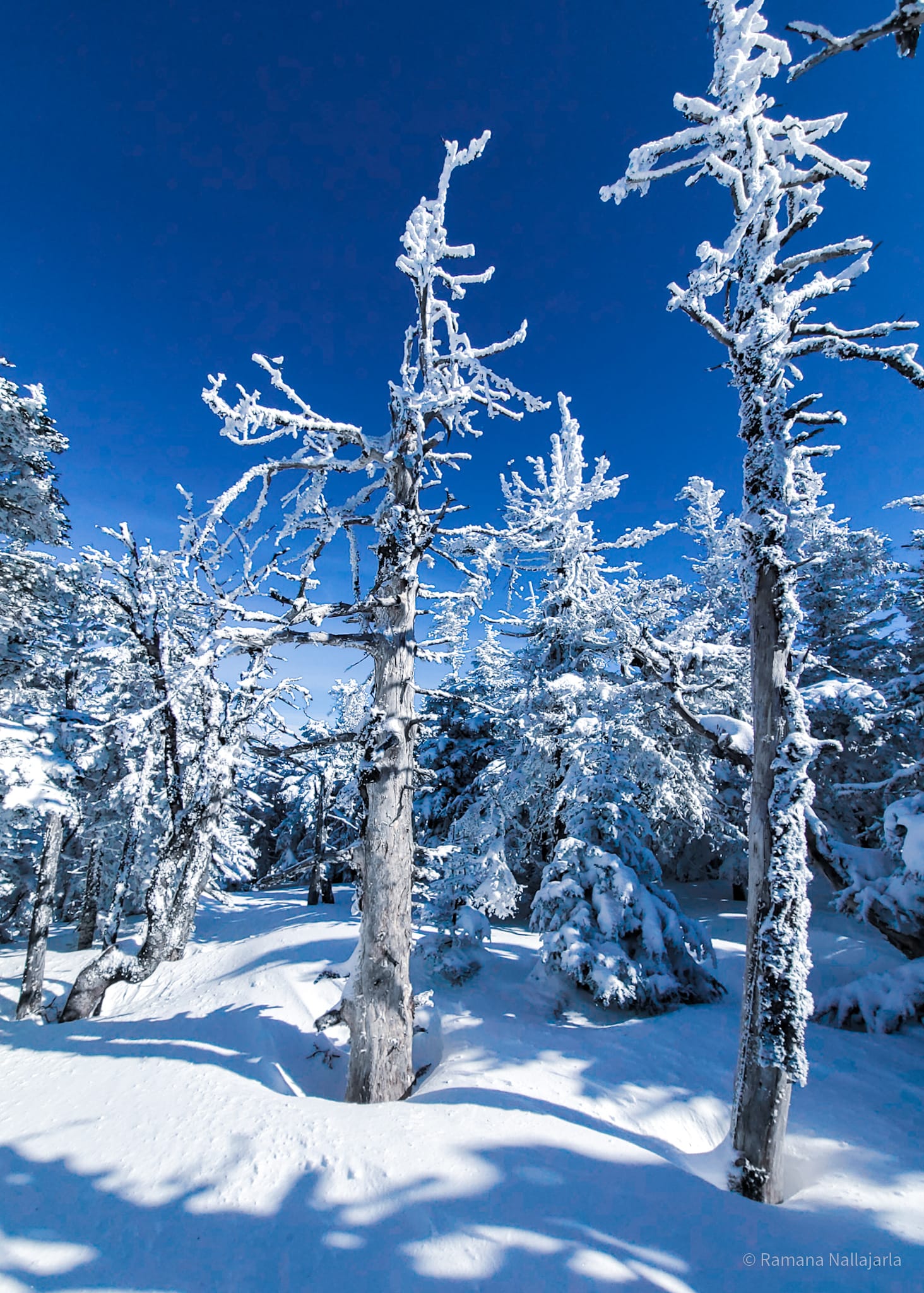 Hike Tripyramids! (NH 48 4K 2 peaks)